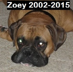 Zoey .2002-2015